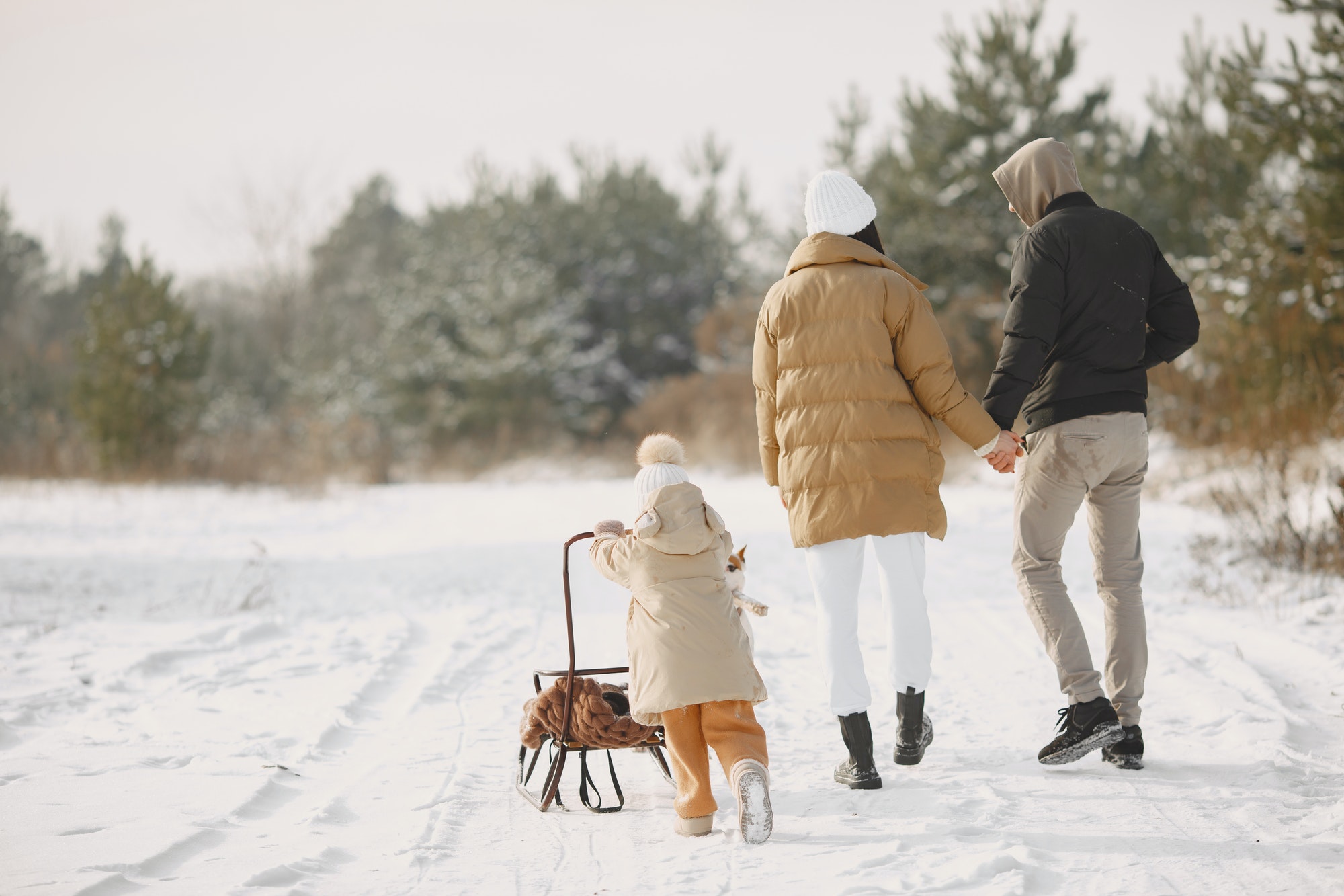 Family in winter clothes play in winter forest