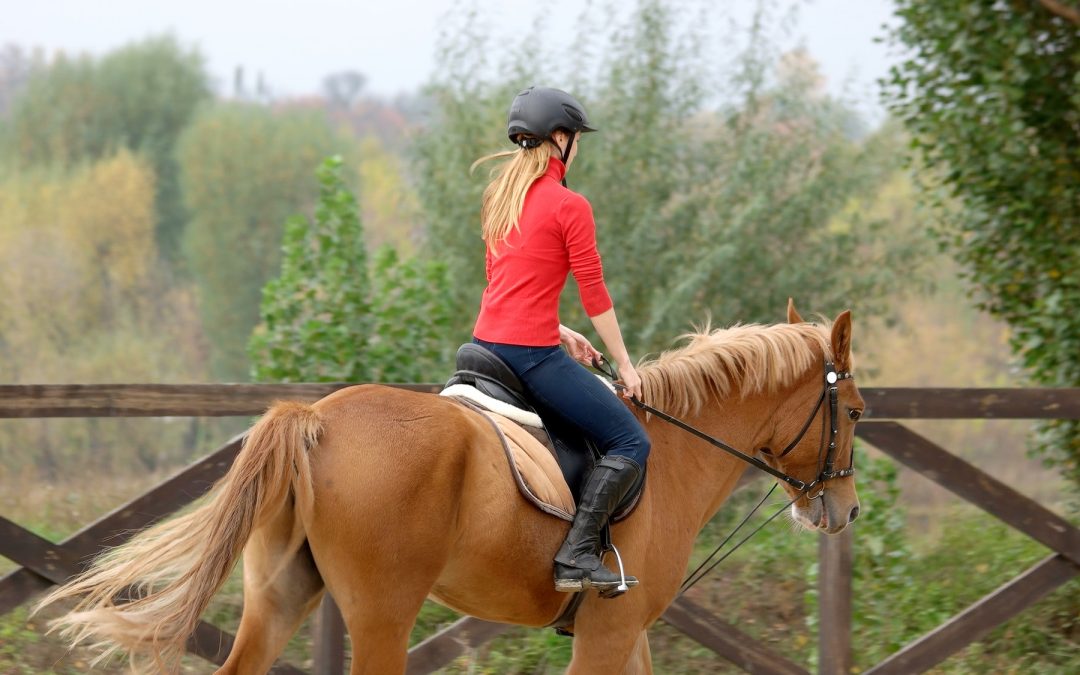 Horseback Riding For Beginners