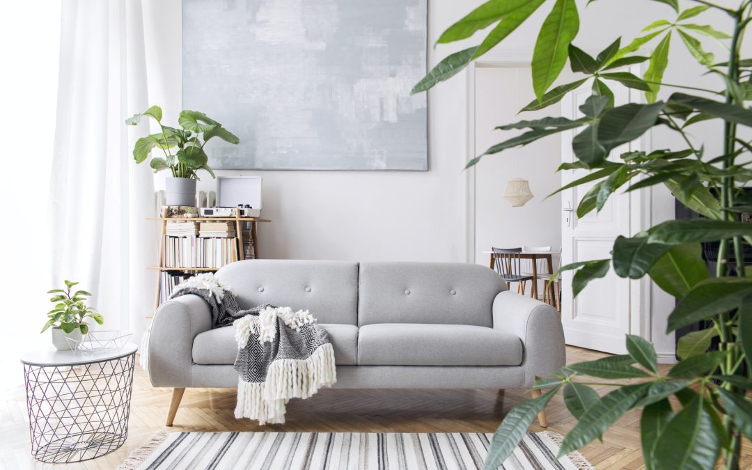 How to Choose the Right Sofa for Your Living Room